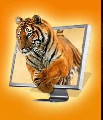 Tiger Power for SEO